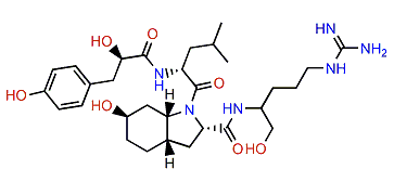 Aeruginosin 298A